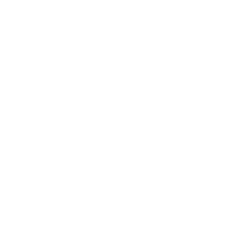 MX2Twins Logo